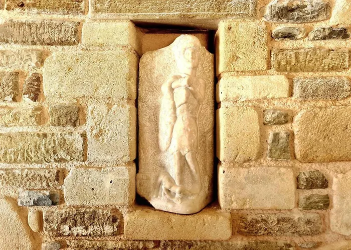 Traounou Serenity * Afando